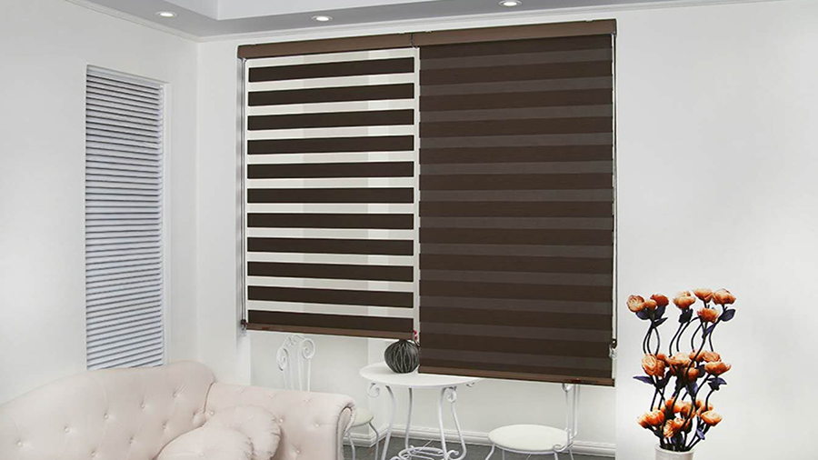 Zebra Blinds Shop Noida 