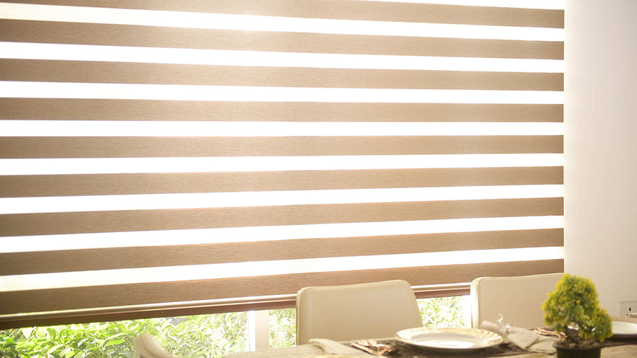 Zebra Blinds Shop Noida 